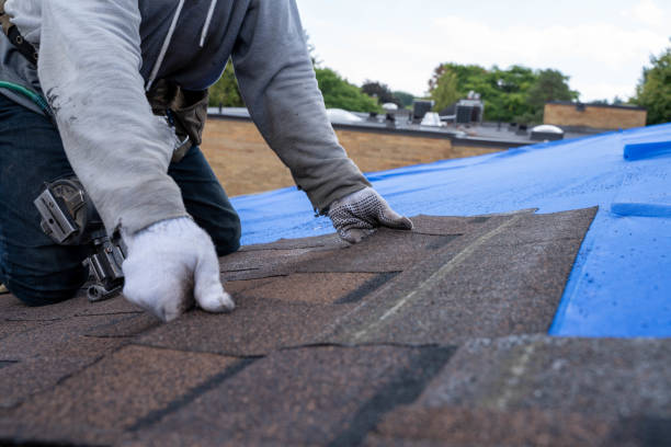 Best Roof Repair Services  in Kotlik, AK
