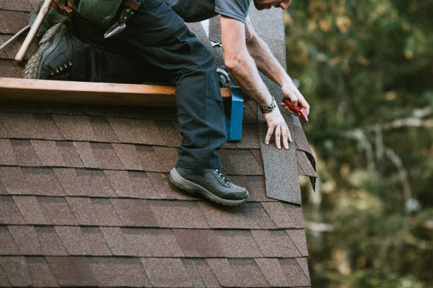 Best Roof Gutter Cleaning  in Kotlik, AK